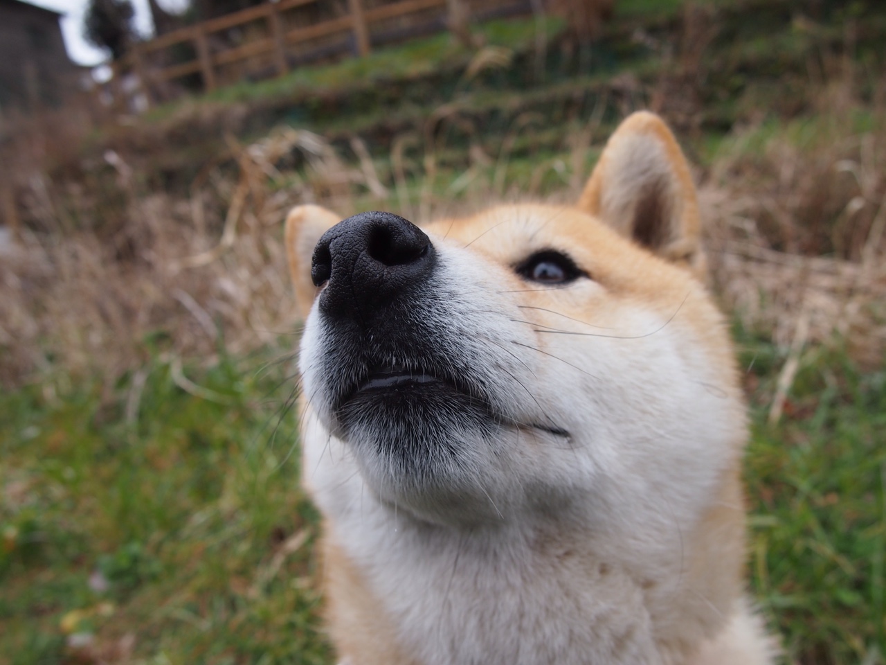 赛场逆袭传奇,阿隆索领军梅赛德斯,绝地翻盘红牛二队取胜