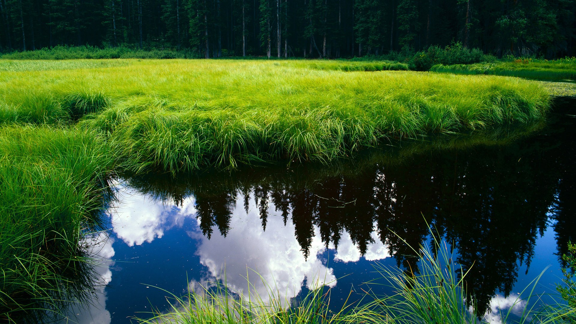 开云体育在线-纵横交错的光芒，当霍勒迪在NBA总决赛接管比赛时，凯尔特人与浙江队的篮球哲学对话