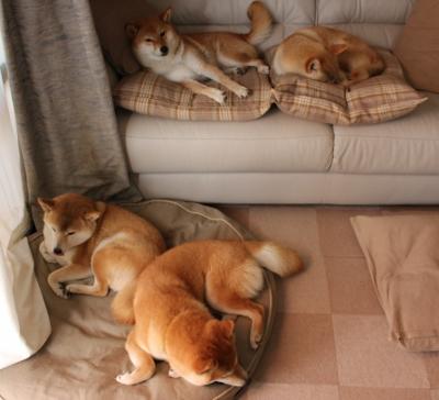 开云体育APP下载-特别体育播报时空交错的绿茵场，当深圳男篮空降德甲争冠战