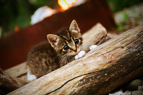 开云体育入口-托尼补时阶段爆发，比利亚雷亚尔末节逆转带走奥地利客战胜利