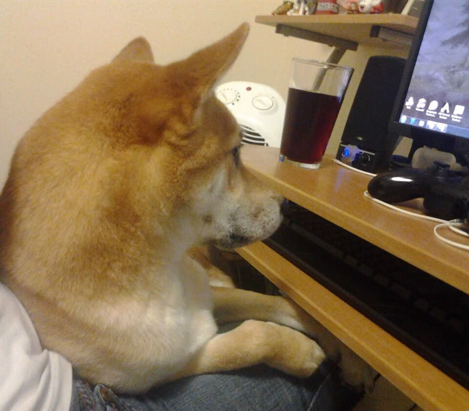 数据会说话，当瑞士爆冷冰岛，特奥的全能秀如何颠覆赛前预测