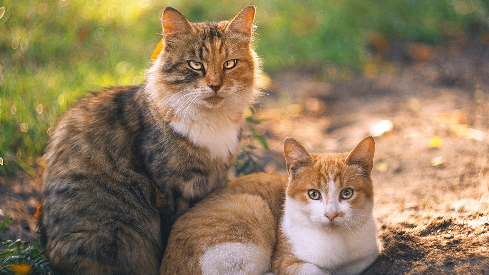 北欧火焰VS罗马蓝鹰,亚洲铁闸金玟哉的颠覆性复刻