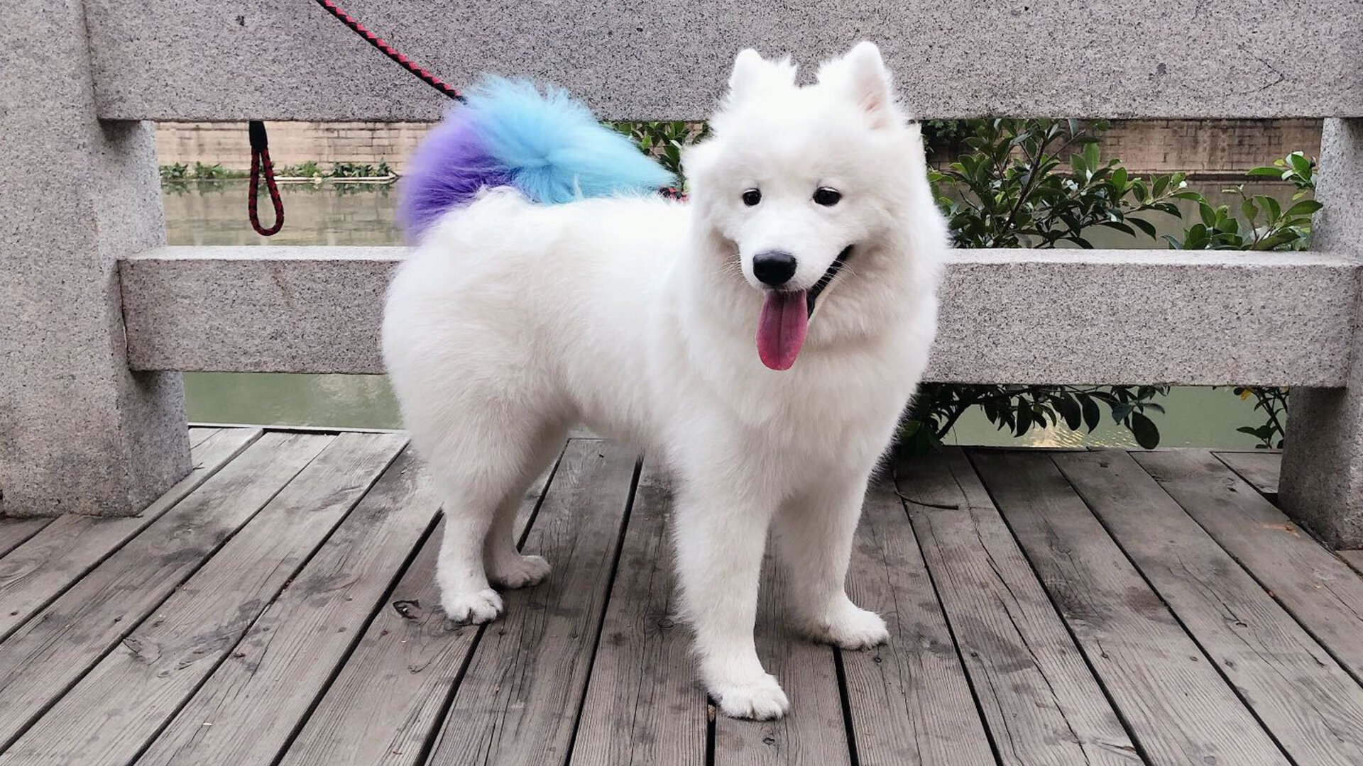 开云体育入口-末节惊魂！罗马逆转哥伦比亚，世界排名争夺战再起波澜