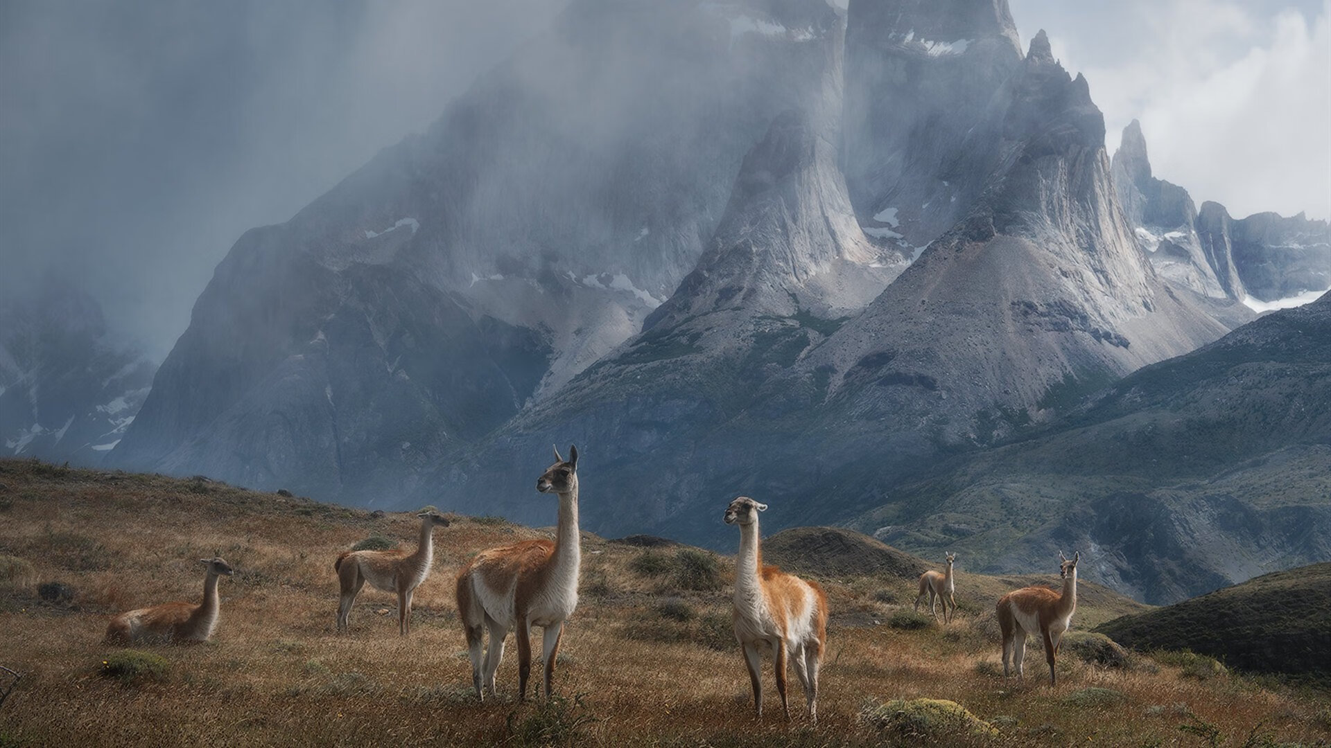 跨界风暴,马赛足球火力席卷奥地利,拉什福德奇迹转战F1年度争冠接管赛场