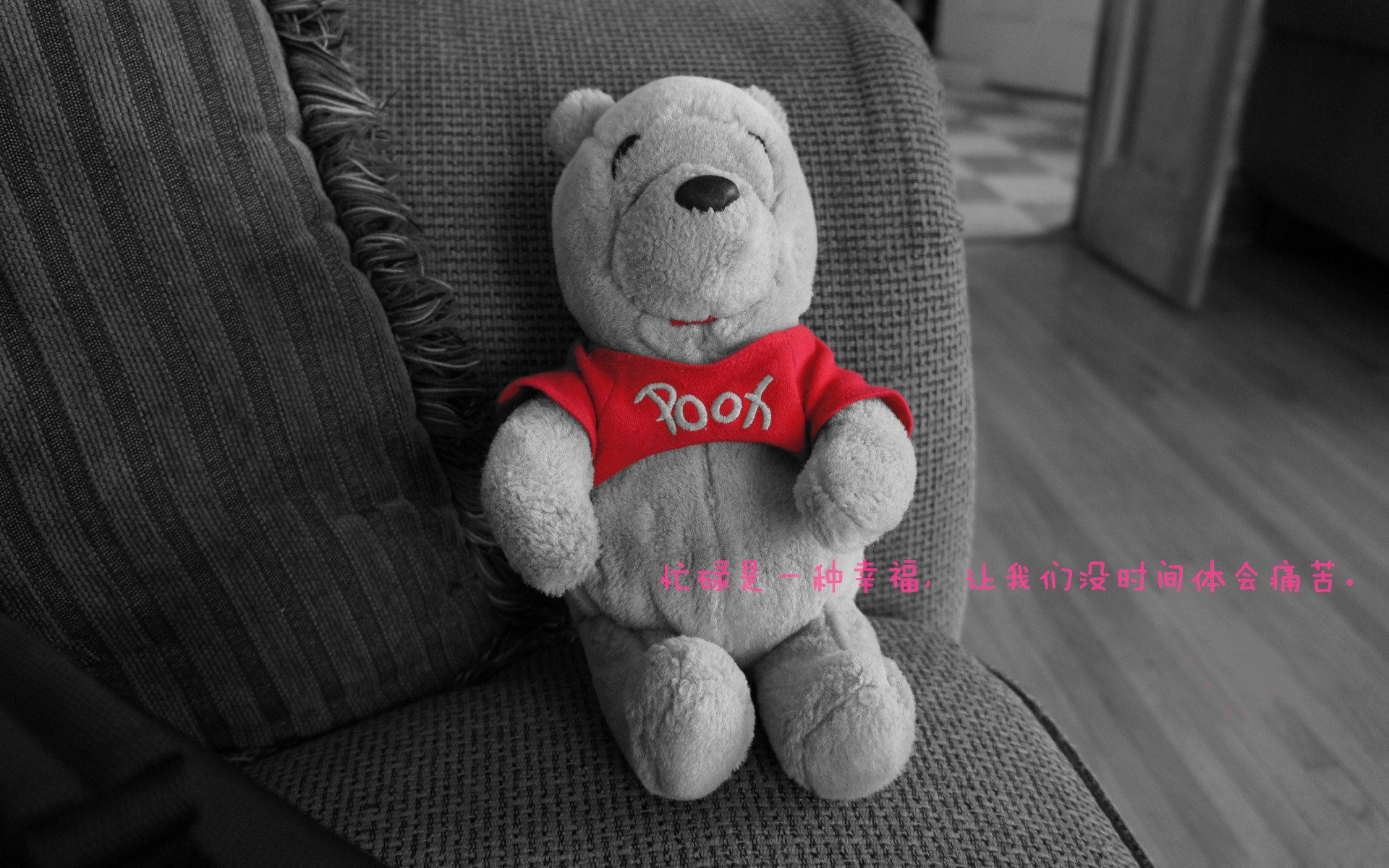 绿茵场与篮球馆，当意甲逆转奇遇上奇才翻盘夜