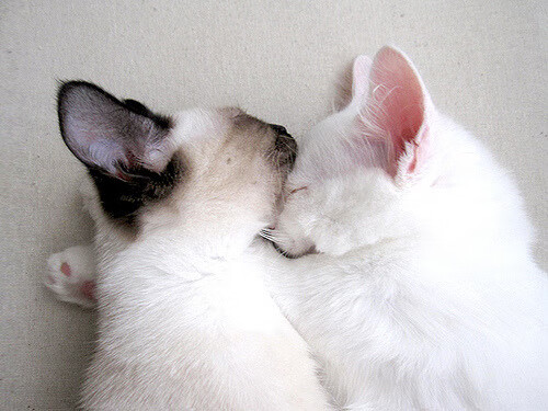 萨卡时空交错闪耀德比，一场现实中未完成的阿森纳对尤文终局