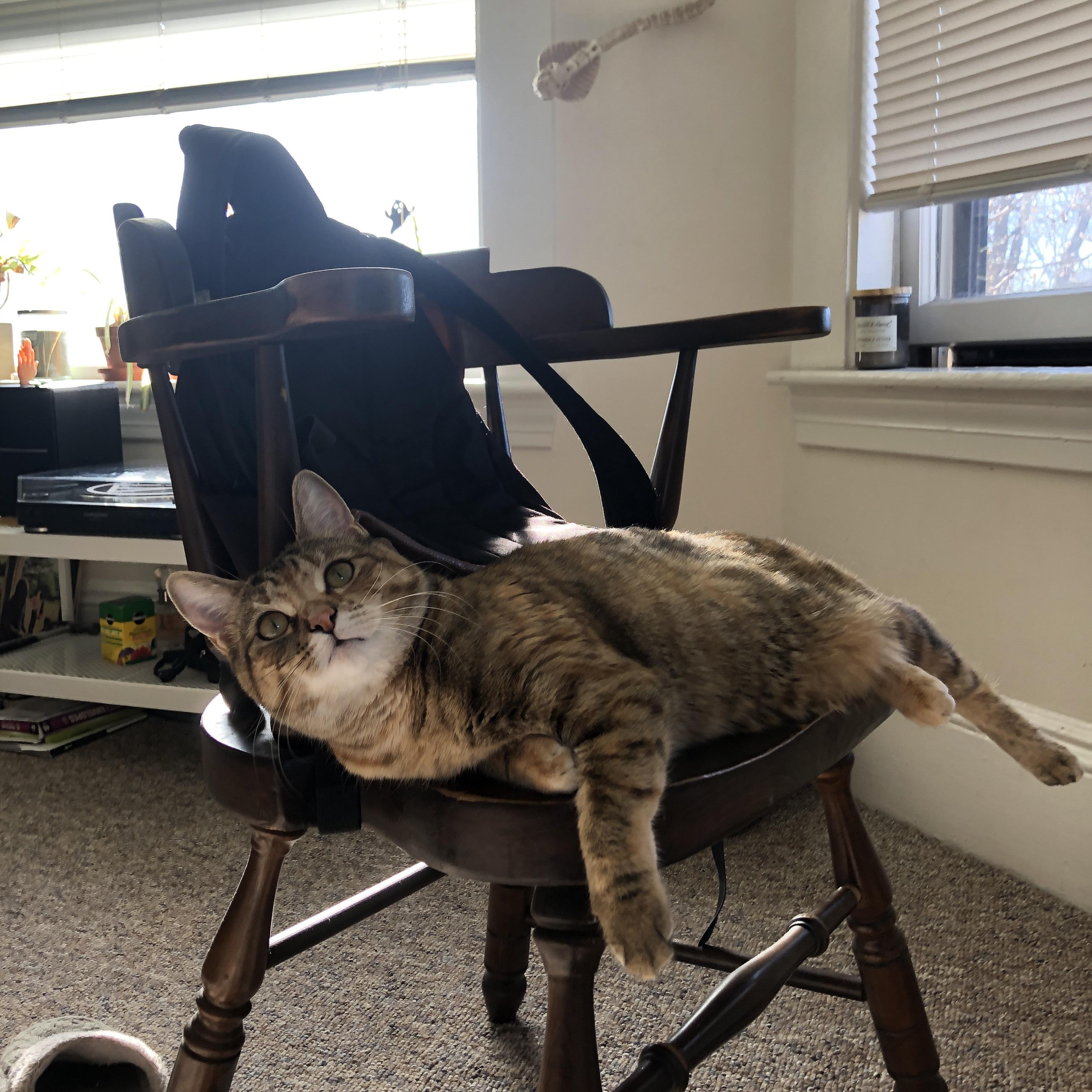 开云体育app-终场哨响多哈，当季后赛来到地缘牌桌