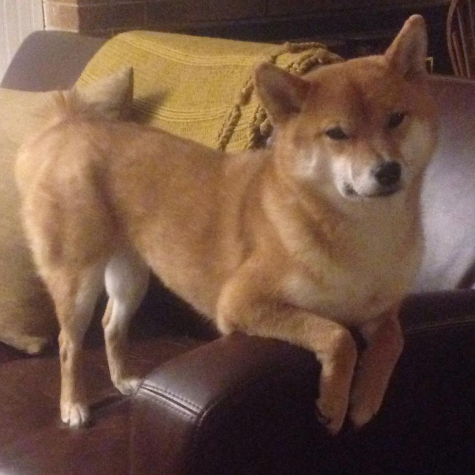 风火交织的夜晚，当F1的极速尾焰照亮绿茵场上的火热