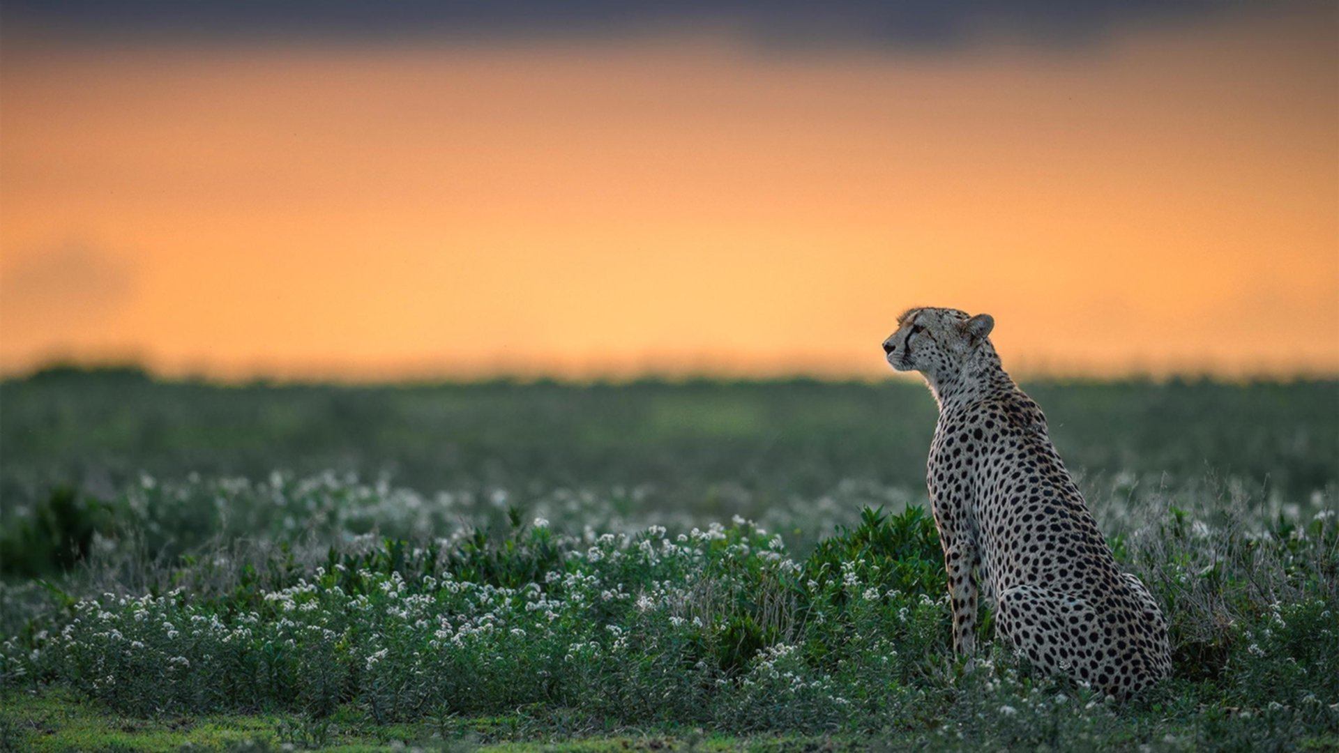 流星击穿神话，巴拉圭钢铁防线下的劳塔罗时刻