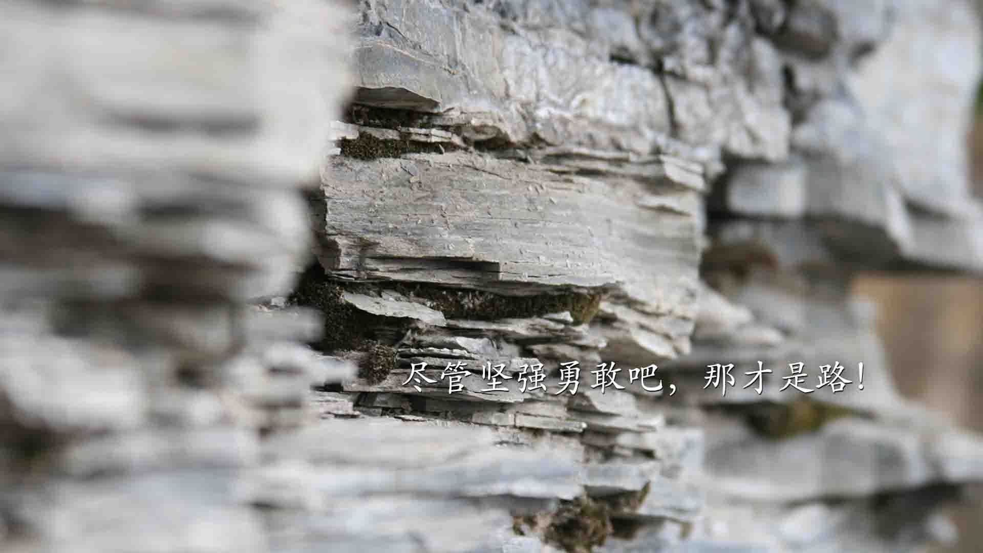 绝杀与独奏，当波兰撞开瑞士之门，赖斯用评分写诗