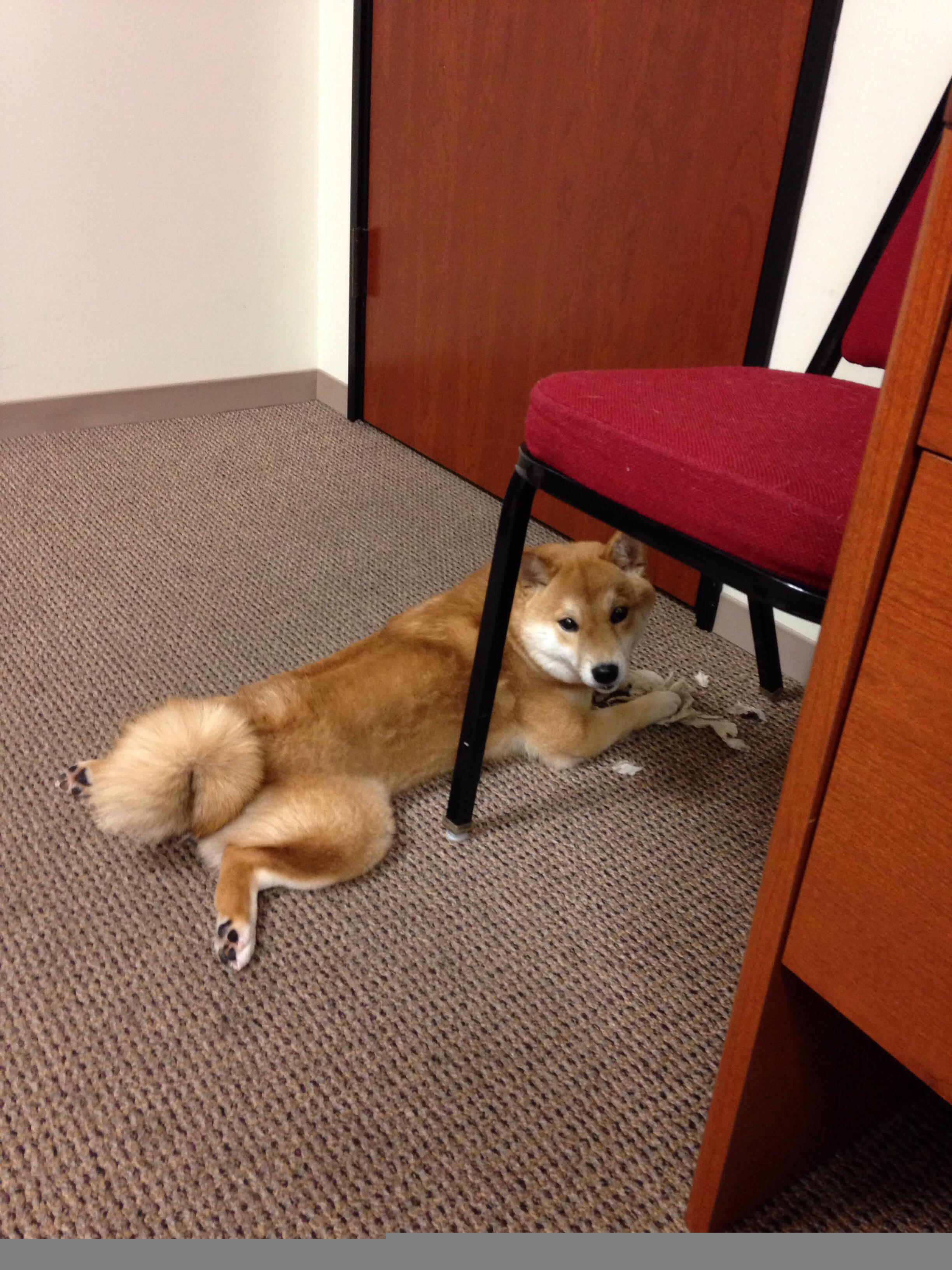 开云体育app-第四节的神迹，当老迈的保罗接管了比赛时钟