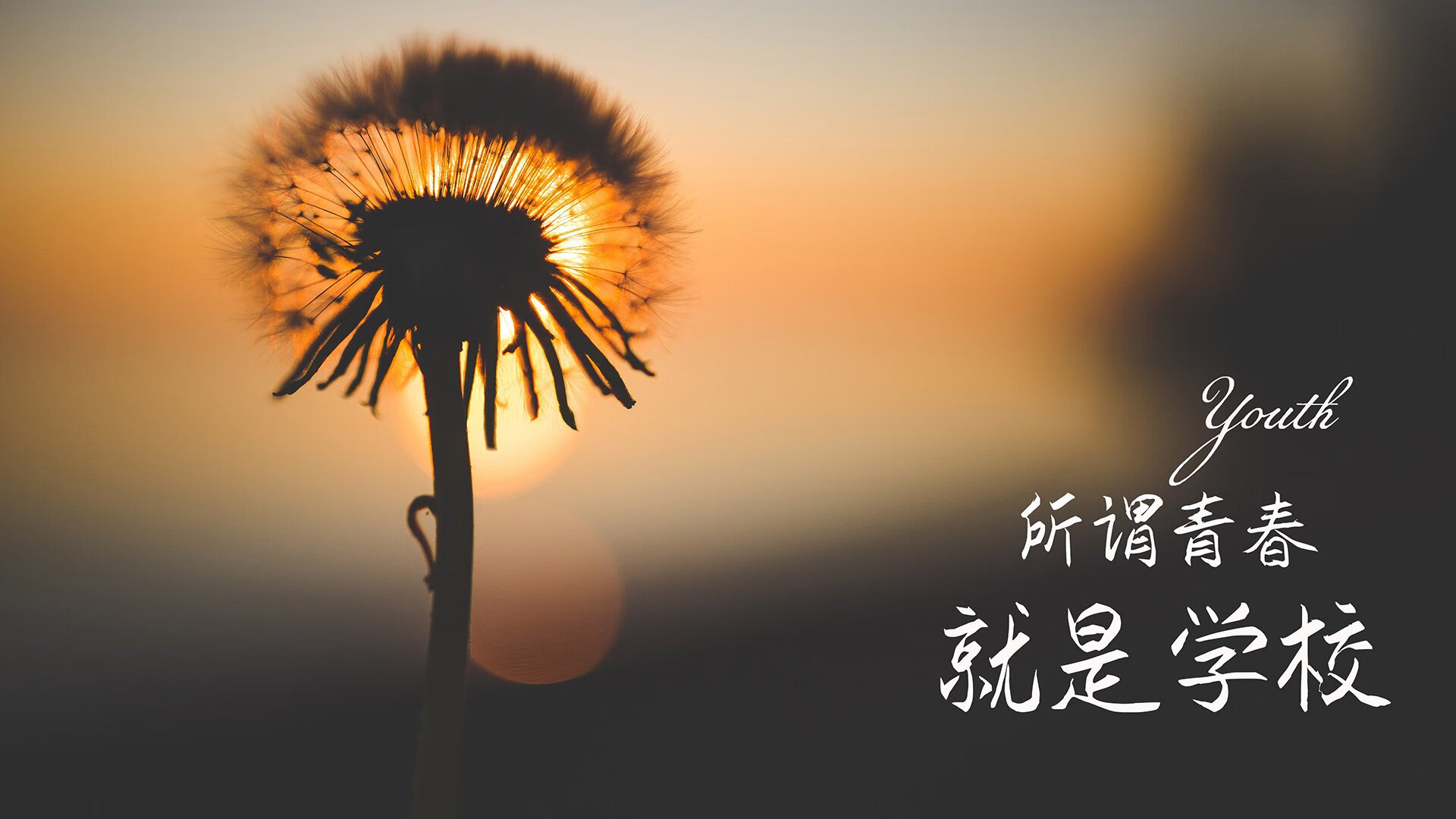 (三个备选)