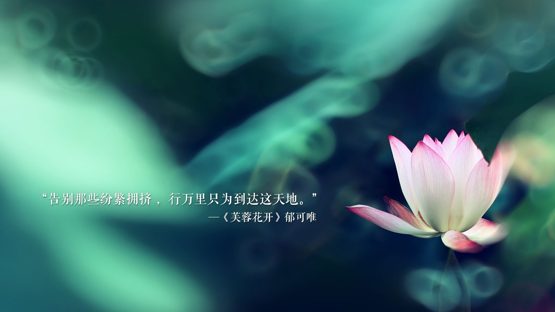 开云体育登录-节奏之魂—当托纳利在2026世界杯H组伊朗vs斯洛伐克之战中定义唯一